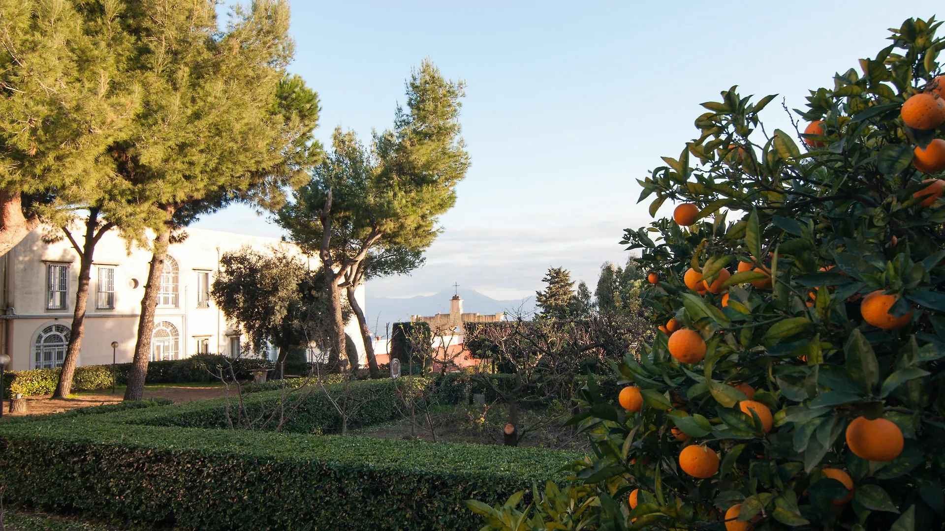 Casa Tolentino Hotel Naples Guest house