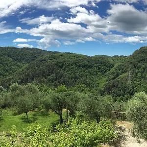 Caddelovi Fibbialla
